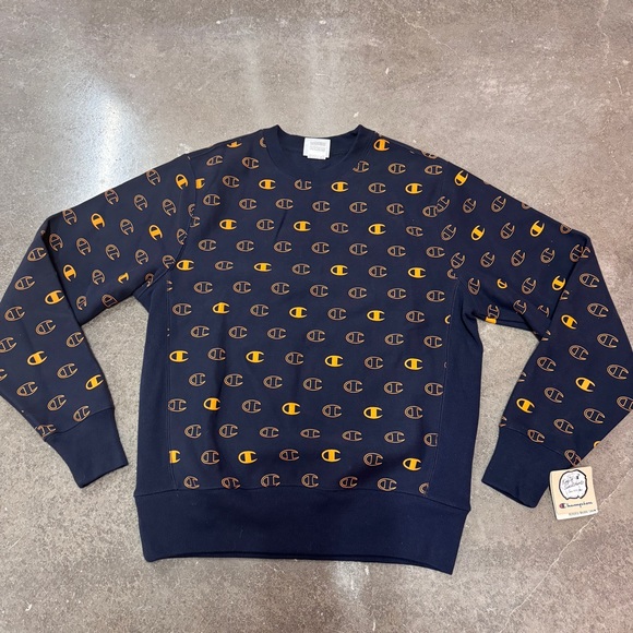 champion men's hoodie - Picture 1 of 4
